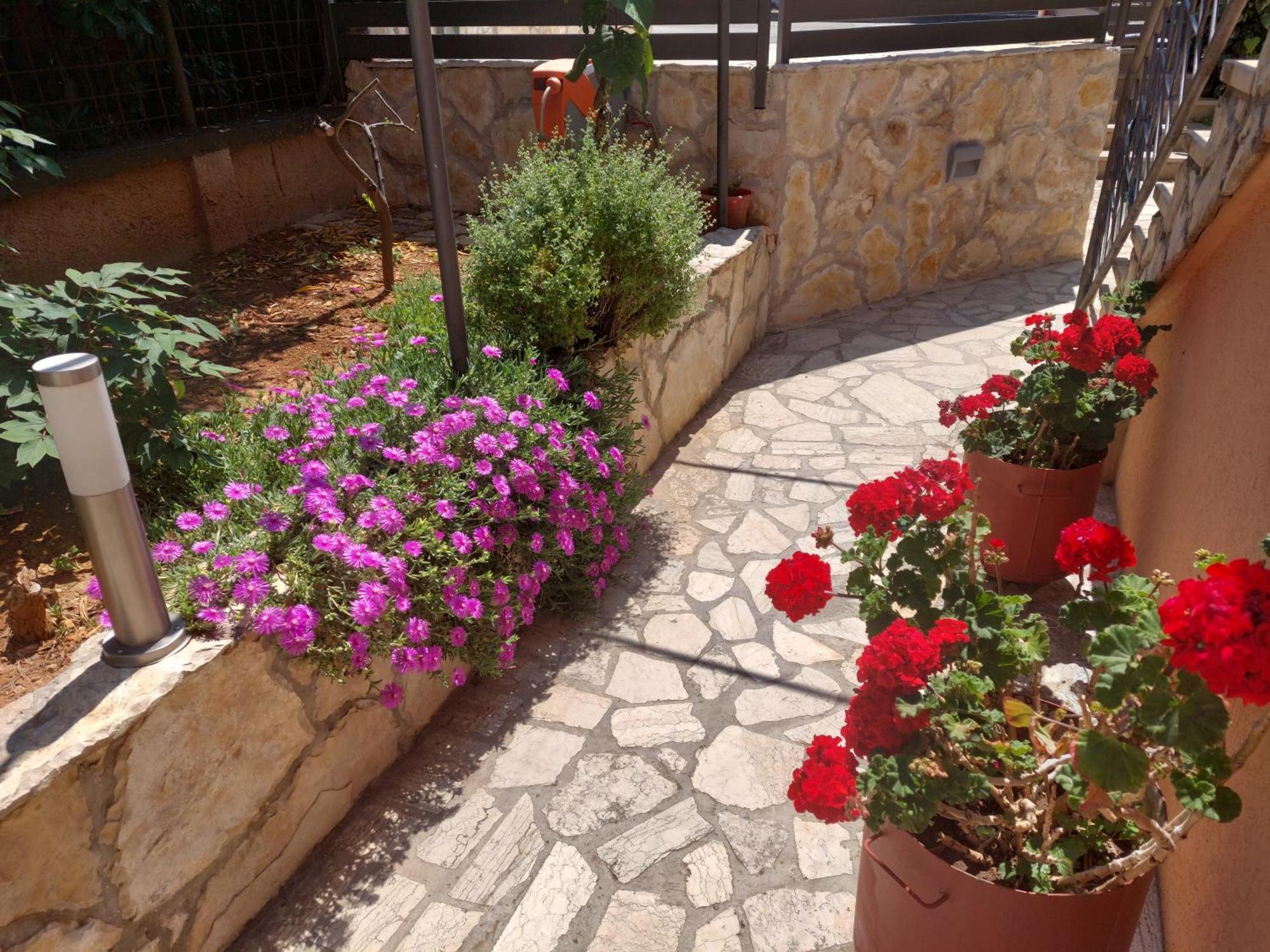 Apartment Morena *
