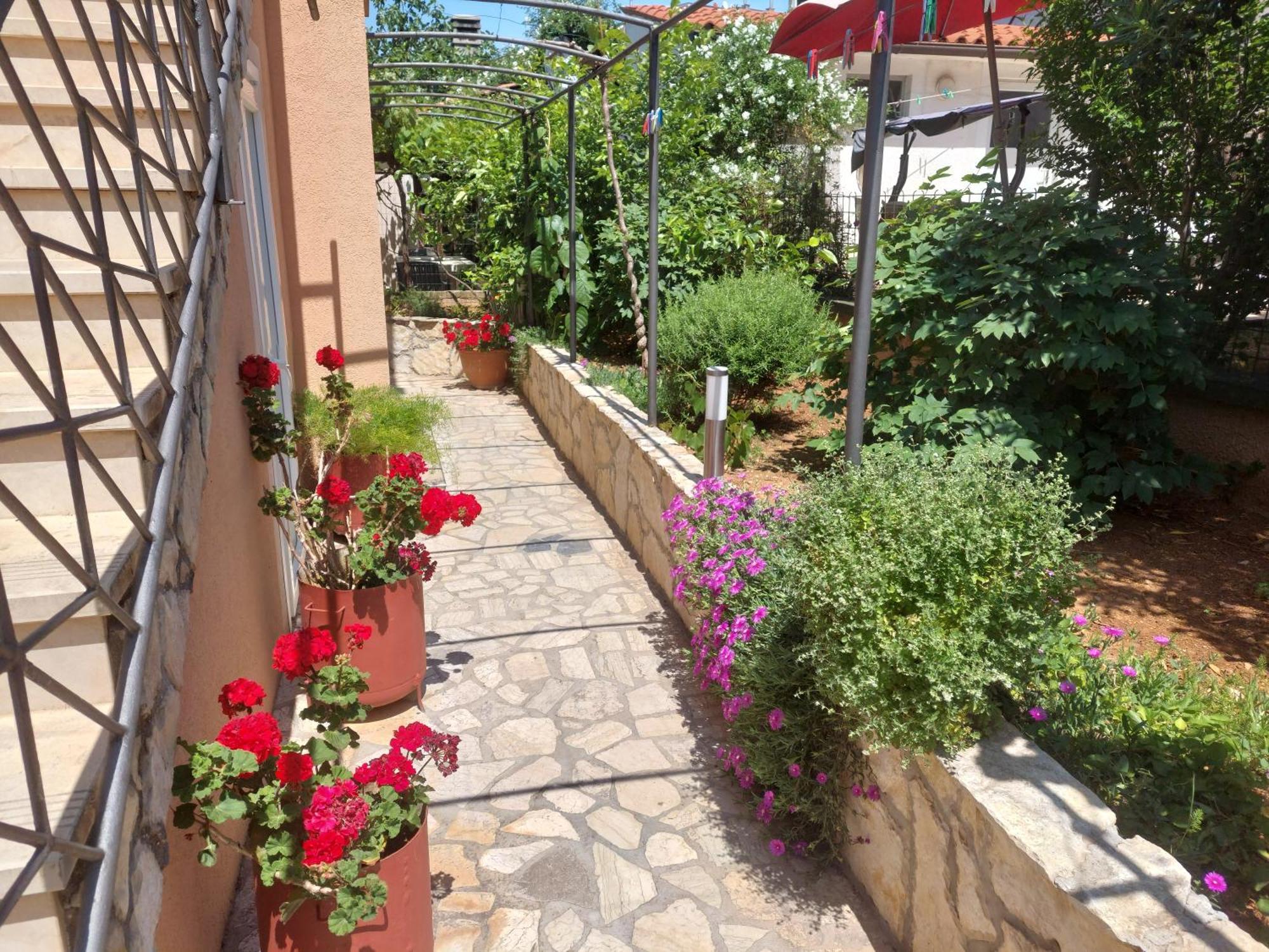 Morena Apartment Pula